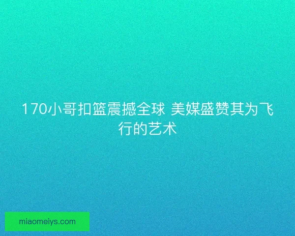 170小哥扣篮震撼全球 美媒盛赞其为飞行的艺术