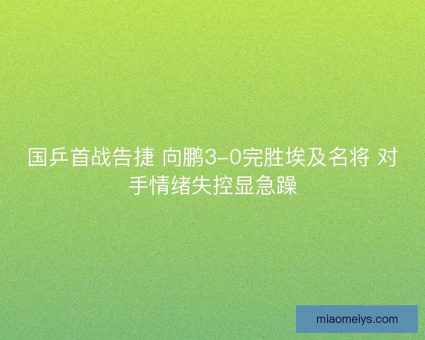 国乒首战告捷 向鹏3-0完胜埃及名将 对手情绪失控显急躁